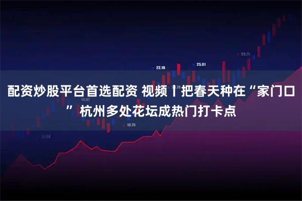 配资炒股平台首选配资 视频丨把春天种在“家门口” 杭州多处花坛成热门打卡点